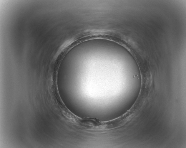 X0000062151261200512161225