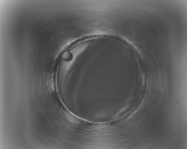 X0000062151262200512161225