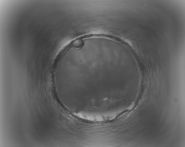 X0000062151263200512161225