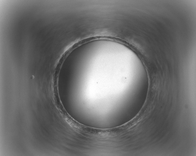 X0000062151264200512161225