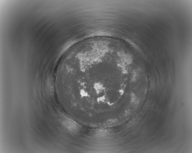 X0000062151266200512161225