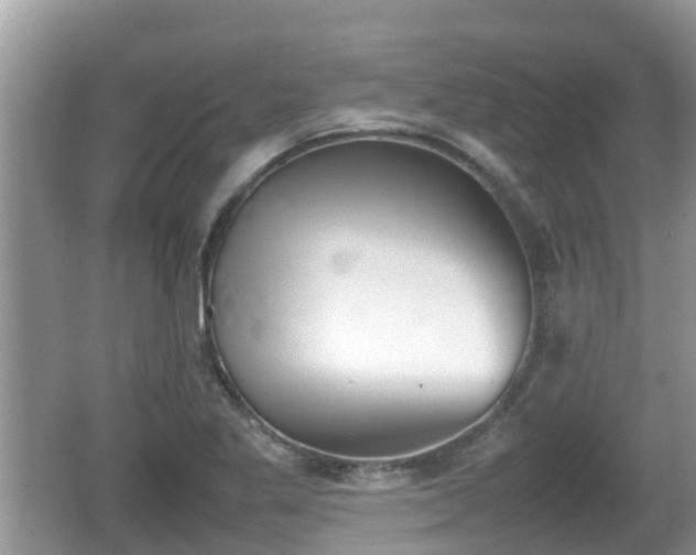 X0000062151269200512161225