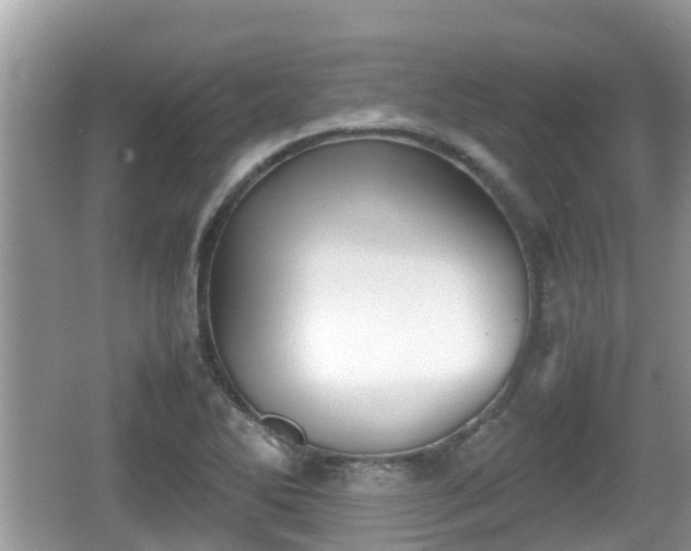 X0000062151270200512161225