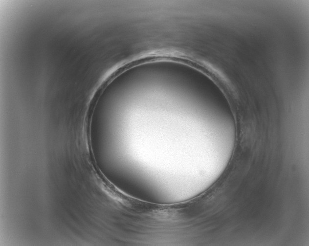 X0000062151272200512161224