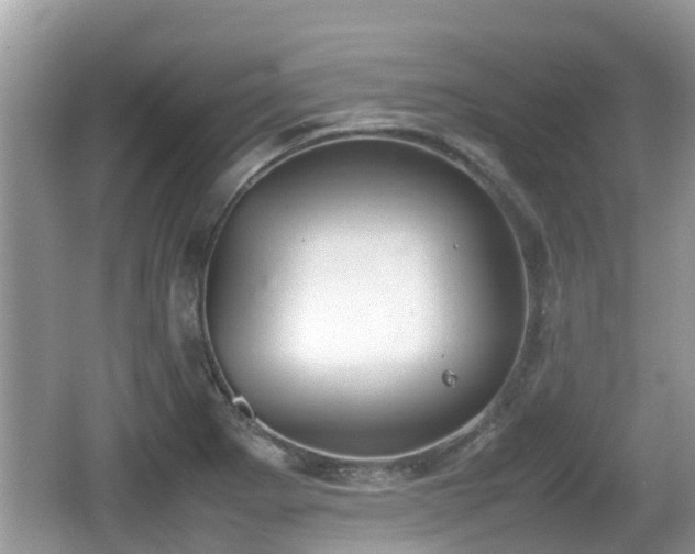 X0000062151273200512161224