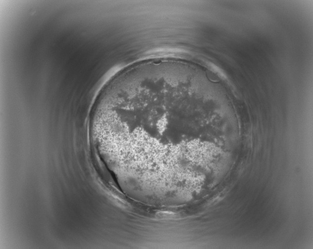 X0000062151275200512161224