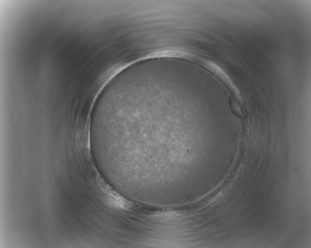 X0000062151276200512161224