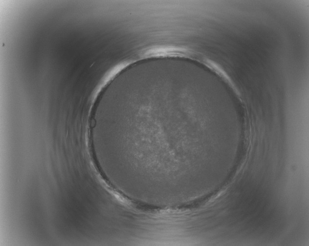 X0000062151277200512161224