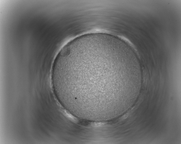 X0000062151278200512161224