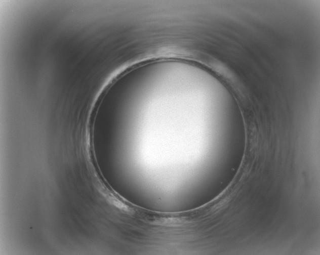 X0000062151280200512161224