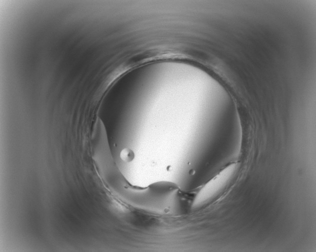 X0000062151281200512161224