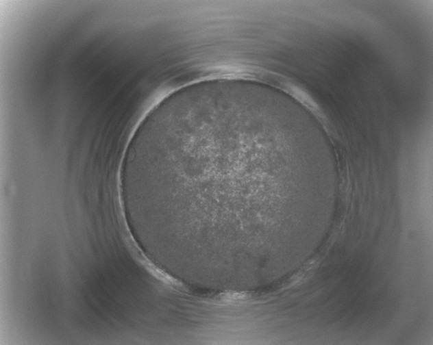 X0000062151283200512161224