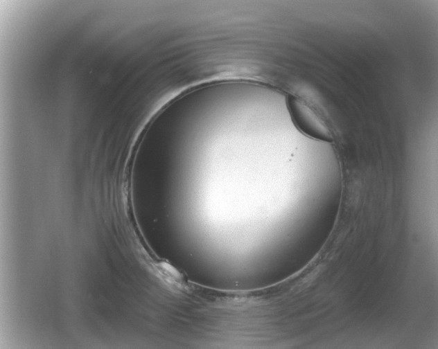 X0000062151284200512161224