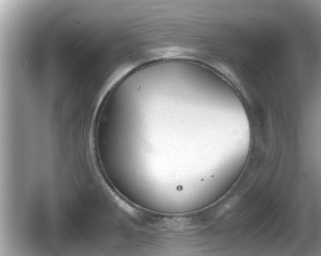 X0000062151285200512161224