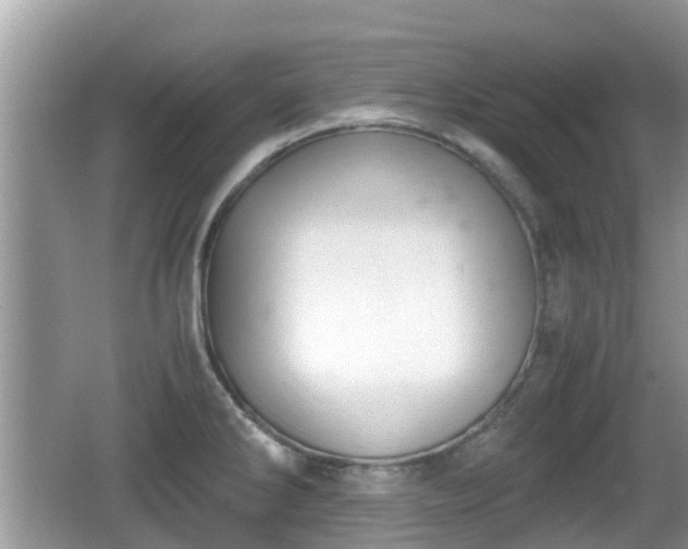 X0000062151286200512161224