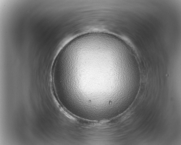 X0000062151287200512161224