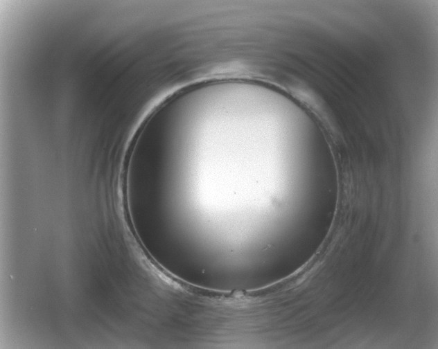 X0000062151288200512161224