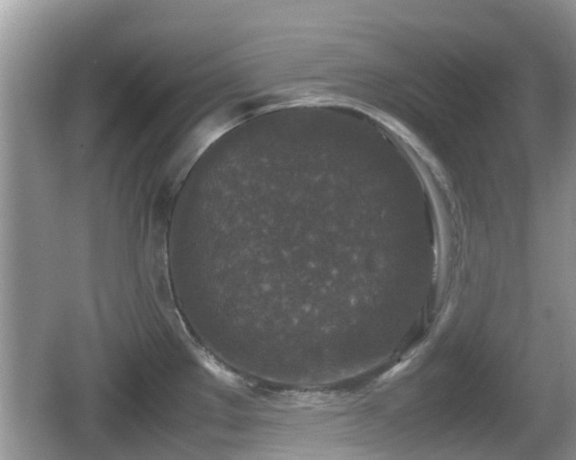 X0000062151289200512161224