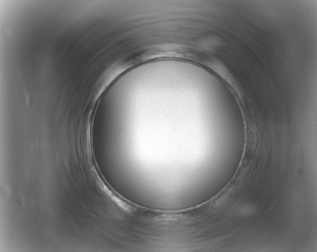 X0000062151290200512161224