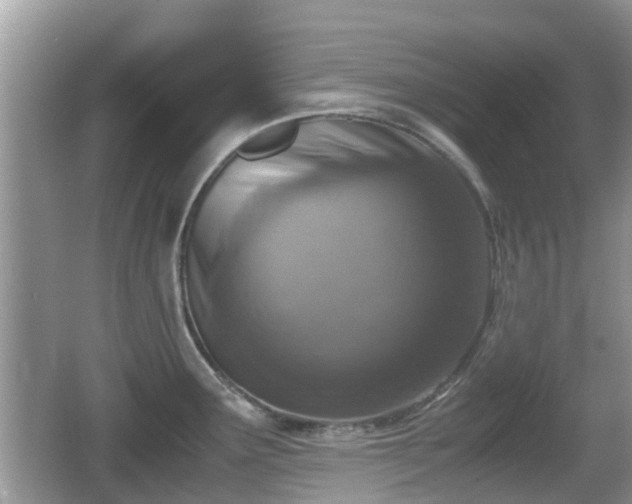 X0000062151291200512161224