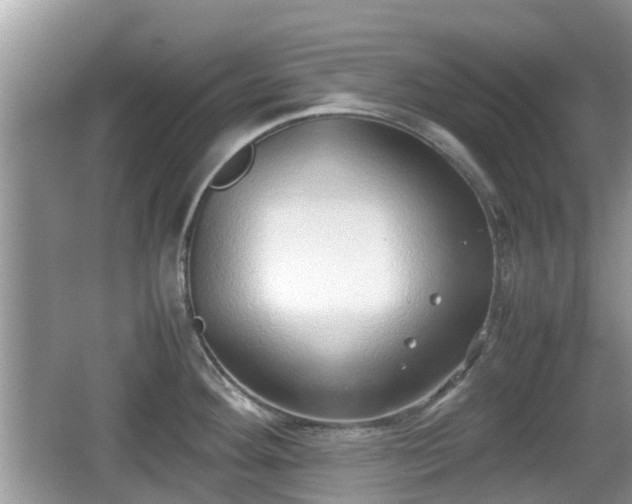 X0000062151292200512161224