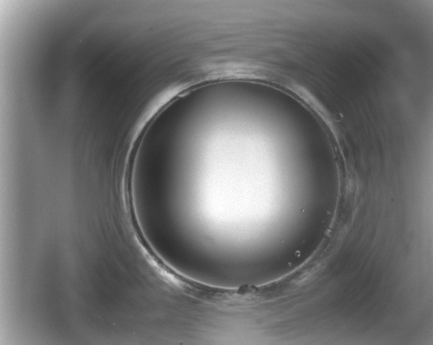 X0000062151293200512161224