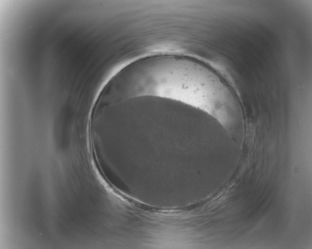 X0000062151295200512161224