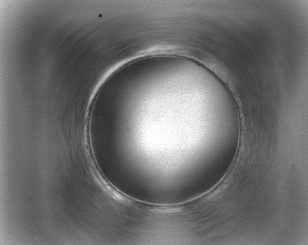 X0000062151296200512161224