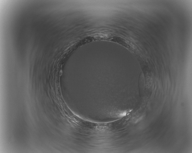 X0000062151297200512161223