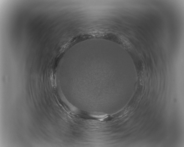 X0000062151298200512161223