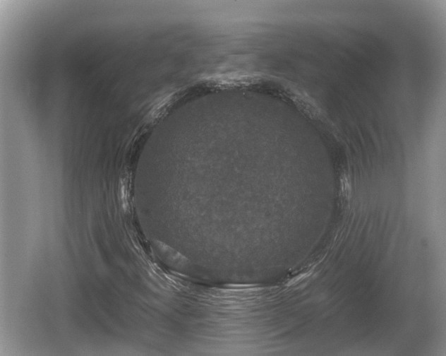 X0000062151300200512161223