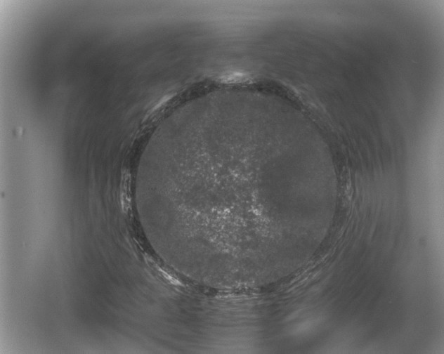 X0000062151301200512161223