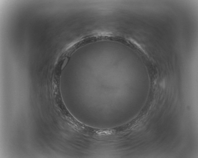 X0000062151303200512161223