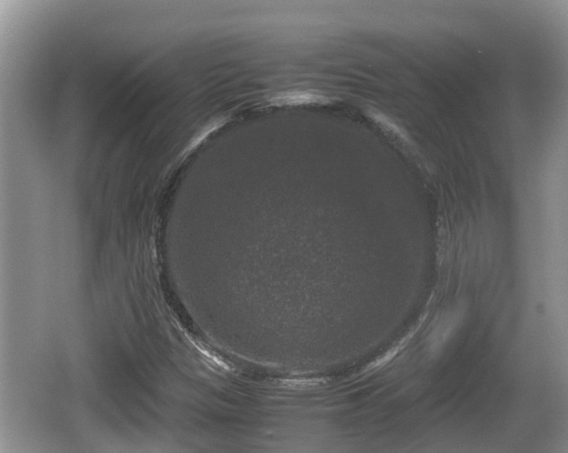 X0000062151305200512161223