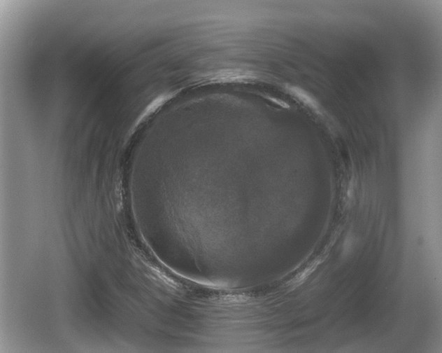 X0000062151306200512161223