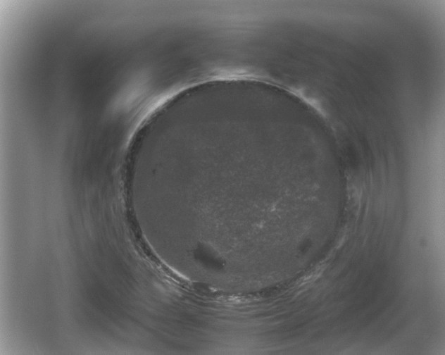 X0000062151311200512161223