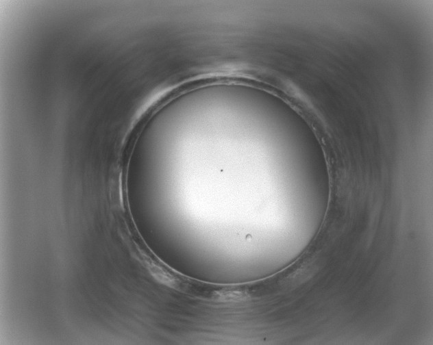 X0000062151320200512161224