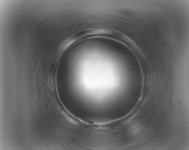 X0000062151321200512161224