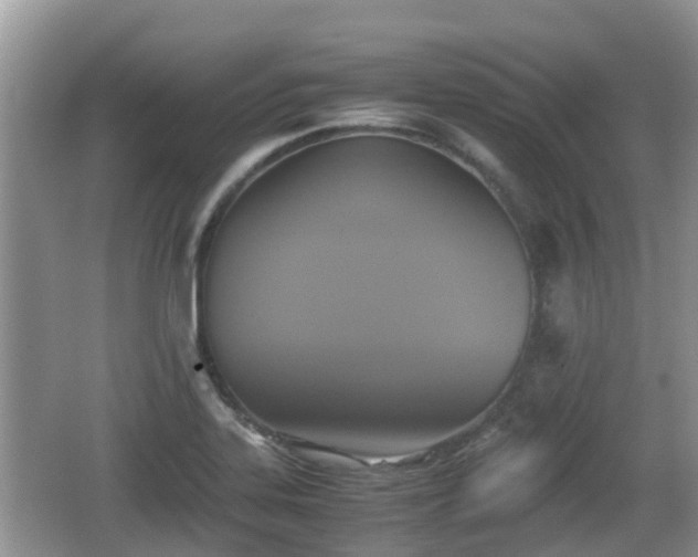 X0000062151323200512161224