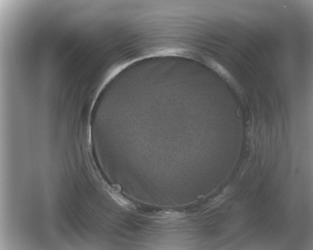 X0000062151324200512161224