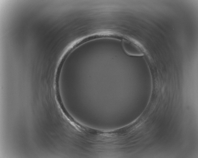 X0000062151327200512161224