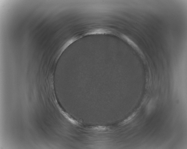 X0000062151329200512161224