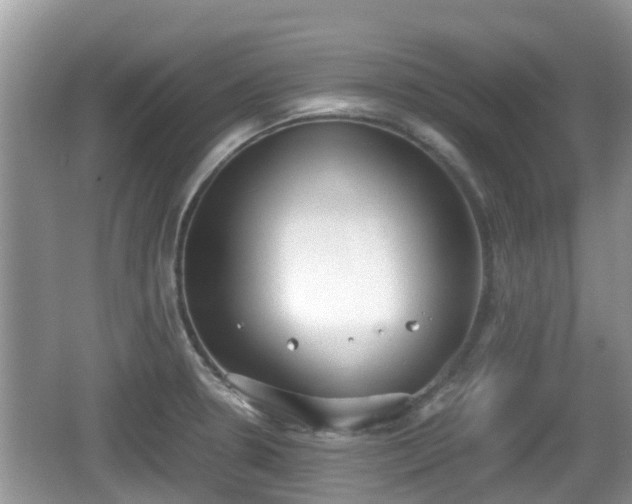 X0000062151330200512161224