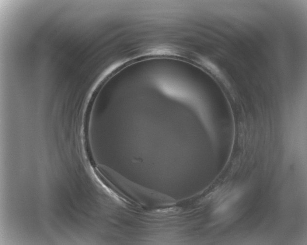 X0000062151331200512161224