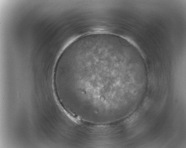 X0000062151333200512161224