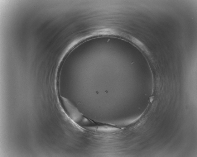 X0000062151334200512161224