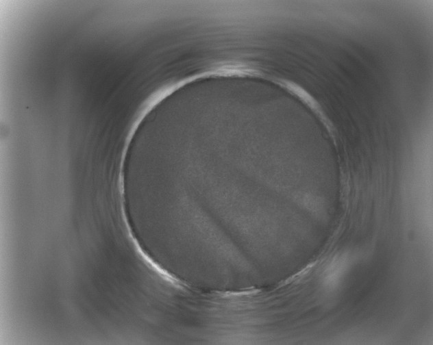 X0000062151335200512161224