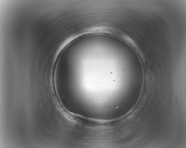 X0000062151336200512161224