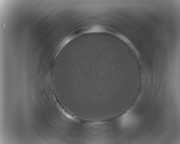 X0000062151337200512161224