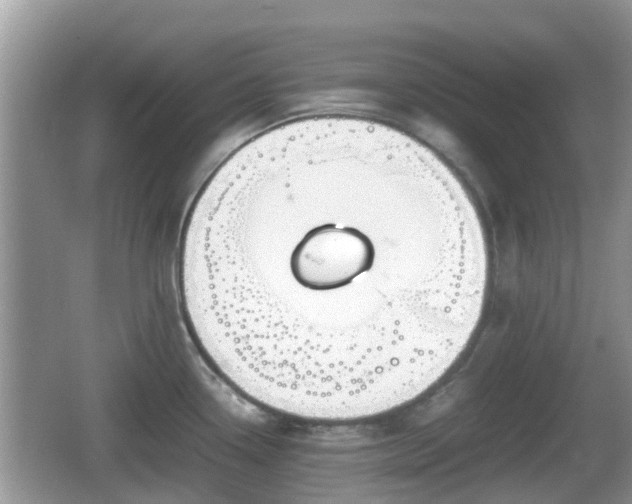 X0000062151338200512161224